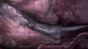 BIO2WMV