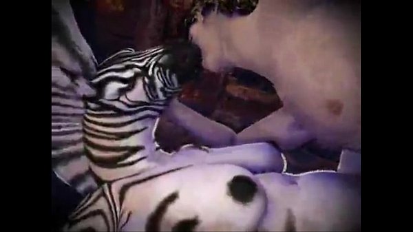 Man and Zebra